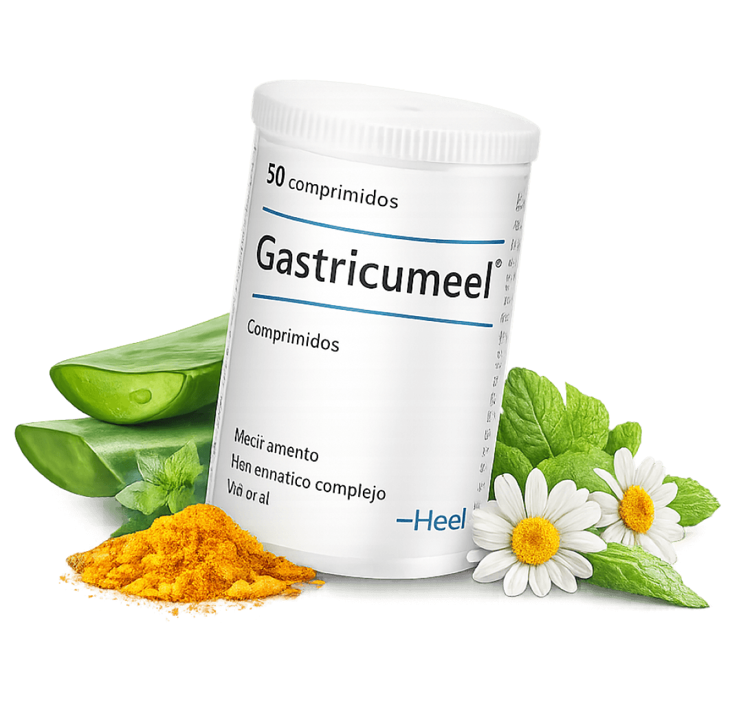 Gastricumeel